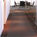 Floortex 48880 Floor Runner Long and Strong Standard Pile Carpet 120cm x 55m