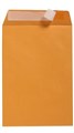 Envelope 196969 305 x 255mm Peel  Seal Pocket Kraft Box 250 611322