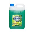 Northfork 638010700 GECA Dishwashing Liquid 5L