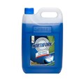 Northfork 638090700 GECA Toilet Bowl And Urinal Cleaner 5L