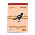 Bibbulmun Flipchart A1 50 Leaf Plain Pad 645900700