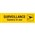 Apli Sign 900415 Self Adhesive Surveillance Camera in Use YellowBlack Each